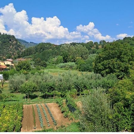 Apartmán La Locanda Di Nonna Jolanda Borgo a Mozzano Exteriér fotografie