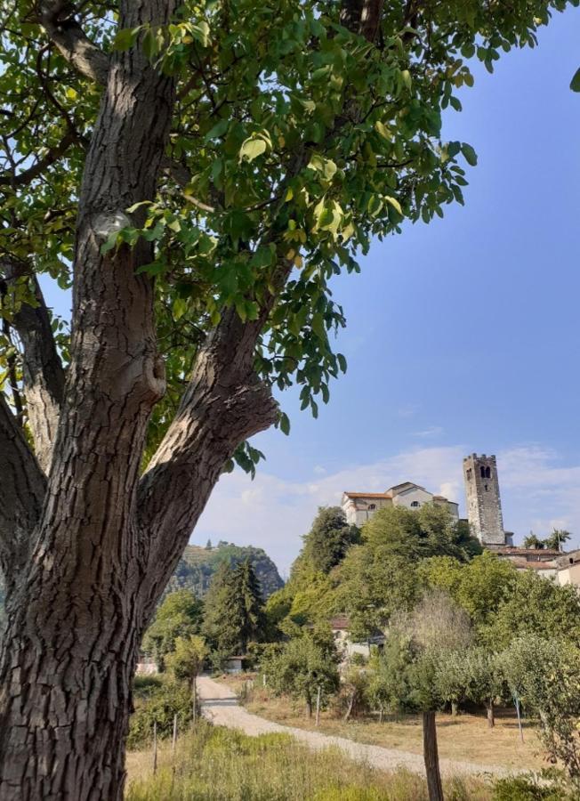 Apartmán La Locanda Di Nonna Jolanda Borgo a Mozzano Exteriér fotografie
