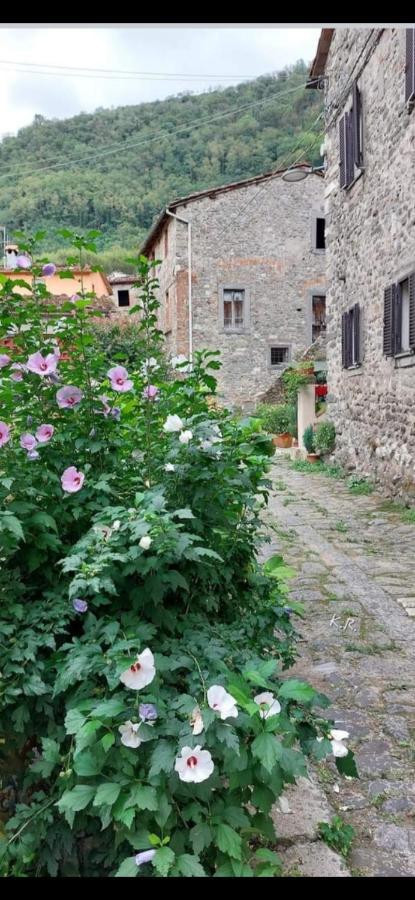 Apartmán La Locanda Di Nonna Jolanda Borgo a Mozzano Exteriér fotografie