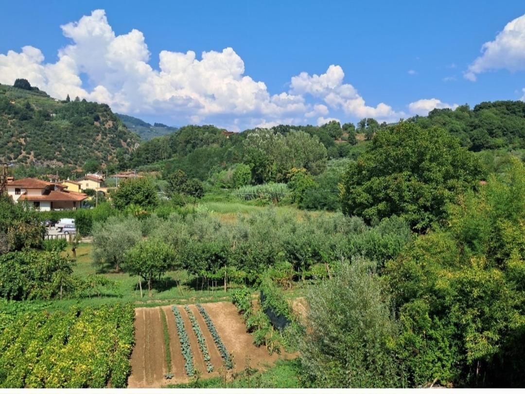 Apartmán La Locanda Di Nonna Jolanda Borgo a Mozzano Exteriér fotografie